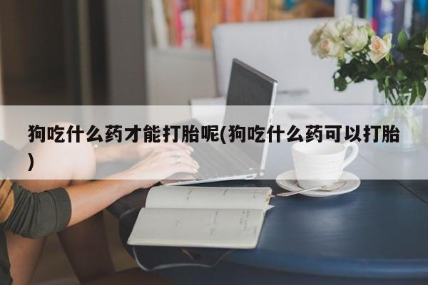 堕胎药购买联系狗吃什么药才能打胎呢(狗吃什么药可以打胎)
